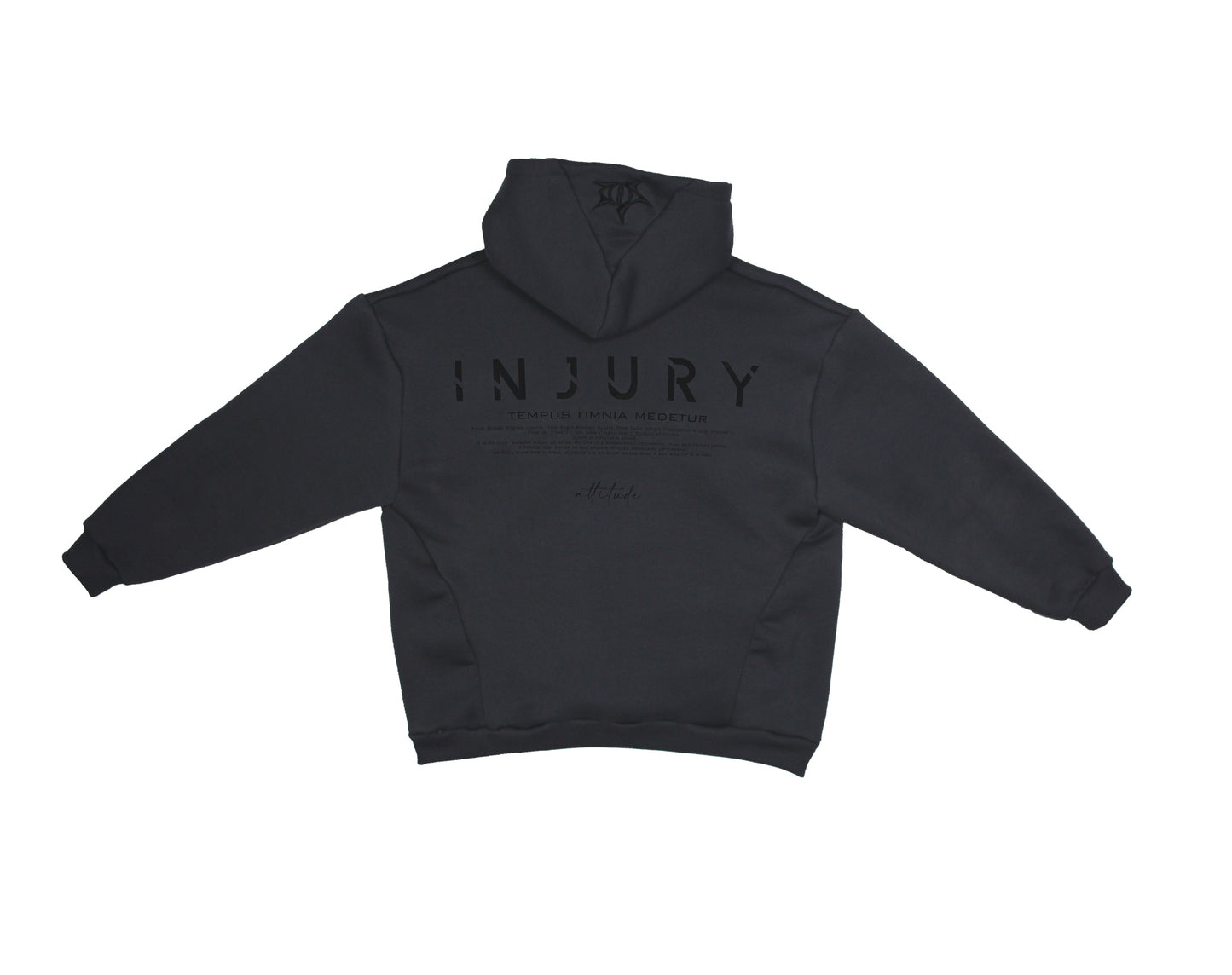 Hoodie "Box Logo" Grigio